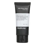 Anthony After Shave Balm 3 Oz New. Price: $24.00.