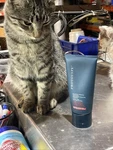 Prototype Non-foaming Shave Cream Beard And Skincare 6 Oz. New. Price: $9.97.