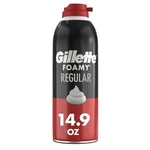 Gillette Foamy Classic Shave For Men, Protection 14.9 Ounce (pack Of 1) New. Price: $5.91.